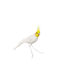 Decorative Bird 30x5x12cm 1pcs