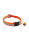 Dog Collar in Orange color
