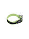 Nobby Dog Collar in Yellow color XSmall
