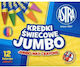 Astra Jumbo Coloured Pencils 12 Colours