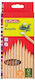 Herlitz Farbstift-Set 12Stück Packung von 1 Verpackungen
