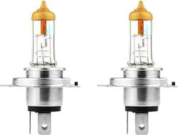 Excelite Lamps H4 / P43T