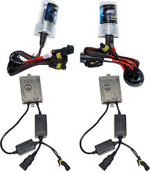 Xenon Beleuchtungsset H1 55W 12V 6000K Kaltes Weiß Xenon Beleuchtungsset H1 55W 12V 6000K Kaltes Weiß