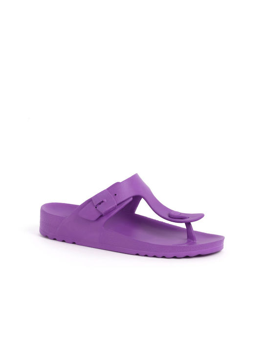 Scholl Bahia Frauen Flip Flops in Lila Farbe