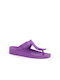 Scholl Bahia Frauen Flip Flops in Lila Farbe