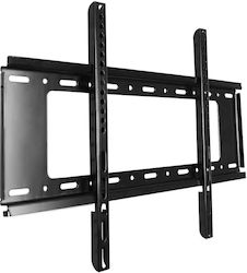 Hausberg Wall Mounted TV Mount Up to 70 Inches