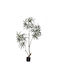 InTheBox Artificial Plant in Pot Peacock Tree Green 150cm 1pcs