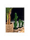 Artificial Plant in Pot Cactus Green 70cm InTheBox