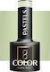 Activeshop Semi-Permanent Nail Polish P05 5gr 1pcs