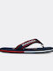 Men's Flip Flops Blue