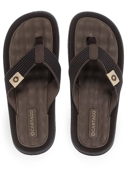 Cartago Ανδρικά Flip Flops Καφέ