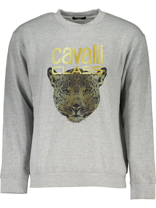 Roberto Cavalli Gray