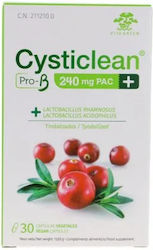 Cysticlean Pro-B 240mg 15 caps