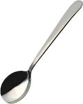 Ready Spoon Stainless Steel 29cm 1pcs