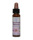 Crystal Herbs Emotional Balance (emotional Balance) Flower Essence 10ml 1pcs