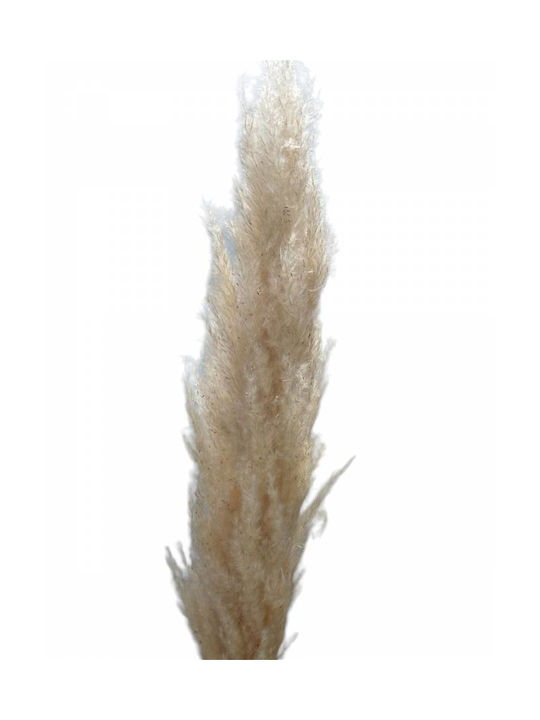 Artificial Decorative Branch Pampas Grass 80cm 1pcs