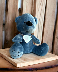 Samt Bär Beary "Papa, du bist ein Diamant" Klein 23cm