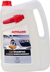 Autoland Shampoo 5lt