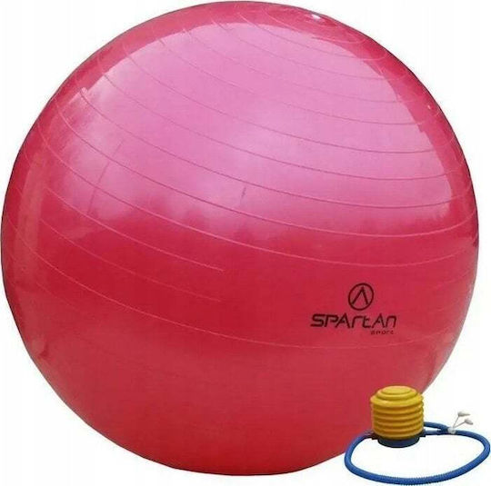 Spartan Μπάλα Pilates 95cm σε Ροζ Χρώμα