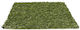 mit Breite 4m und Höhe des Flors 20mm in Grün Farbe (Preis pro Quadratmeter) 1Stück