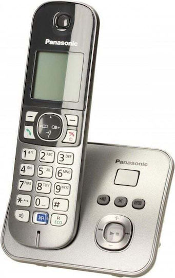 Panasonic KX-TG6821 Telefon fără fir Gri