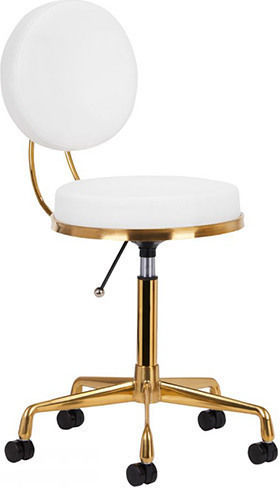 Salon Stools Wheeled Stool with Backrest White