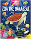 Search and Find with the Magic Torch, Animals of the Sea
