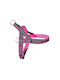 Camon Geschirr Neopren Dynamic Fuxia 60cm