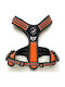 All Dogs All Dogs Hamul 3x-sport Orange Xs