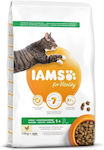 Iams Katzenfutter für Erwachsene Huhn 10kg