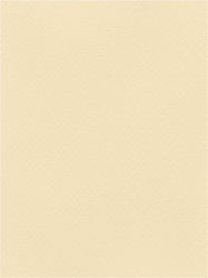 Favini Cardstock 70x100cm 220g Cream No04