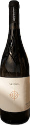 Leipsón Winery Leipsón Winery Aktáion 2020 750 Ml Leipsón Winery Leipsón Winery Aktáion 2020 750 Ml