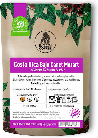 Espresso Ingagi Costa Rica Bajo Canet Mozart 200g Ganze Bohnen