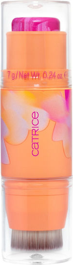 Catrice Cosmetics Seeking Flowers Stick Ρουζ C01 Berrylicious 7gr