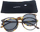 Frog Optical Reading Glasses +2.00 in Brown color