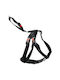Flamingo Dog Harness Black 502325