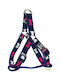 Nunbell Pet Hundegeschirr Ausbildung 36517
