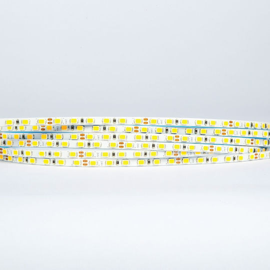 VK Lighting Ταινία LED 24V Θερμό Λευκό Φως 5m Τύπου SMD2835