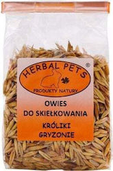 Herbal Pets Χόρτα για Τρωκτικό 100gr