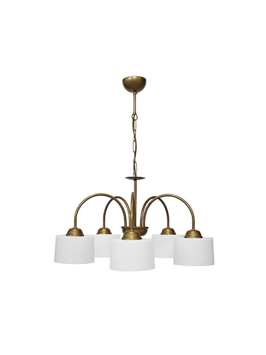 Heronia Pendant Light Gold