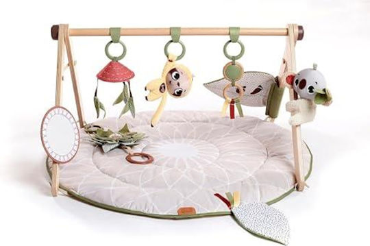 Tiny Love Sală de Activități cu Muzică Multicolor pentru 0++ Luni