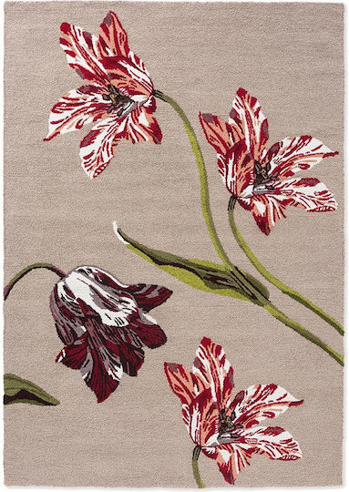 Ted Baker Botanical Tulip