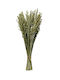 Kaemingk Dried Plant Green 55cm 1pcs