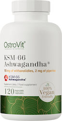 OstroVit KSM-66 200mg 120 Capsules OstroVit KSM-66 200mg 120 Capsules
