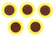 Glorex Felt 6 7101 306