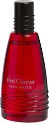 RealTime Roter Canyon Eau de Toilette 100ml