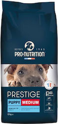 12kg_pro-nutrition Prestige Puppy Medium

12kg Hrană uscată pentru câini Pro-nutrition Prestige Puppy Medium