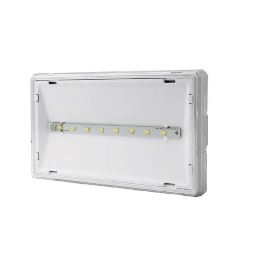 Awex LED Notausgangsleuchte 1Stück
