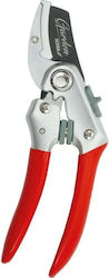 Dedra Pruning Shears 80A010