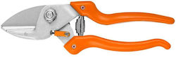 Pruning Shears